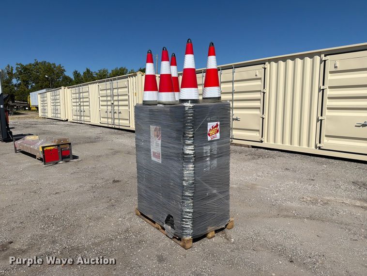 image for item EX4198 Approximately 250 cones