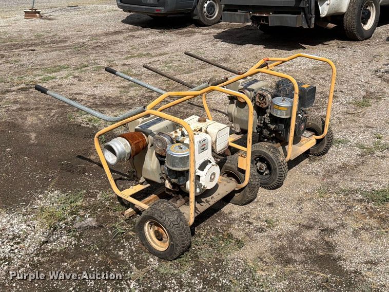 image for item FU4660 (2) Wacker PT3B pumps