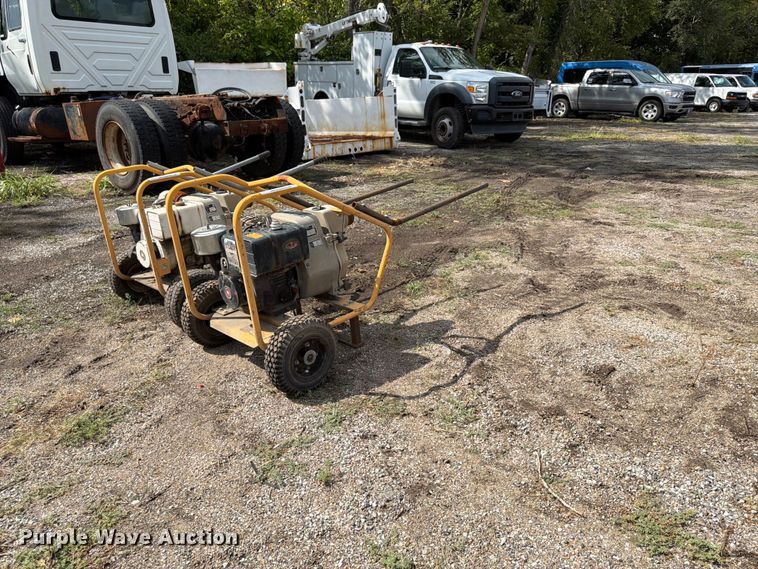image for item FU4660 (2) Wacker PT3B pumps