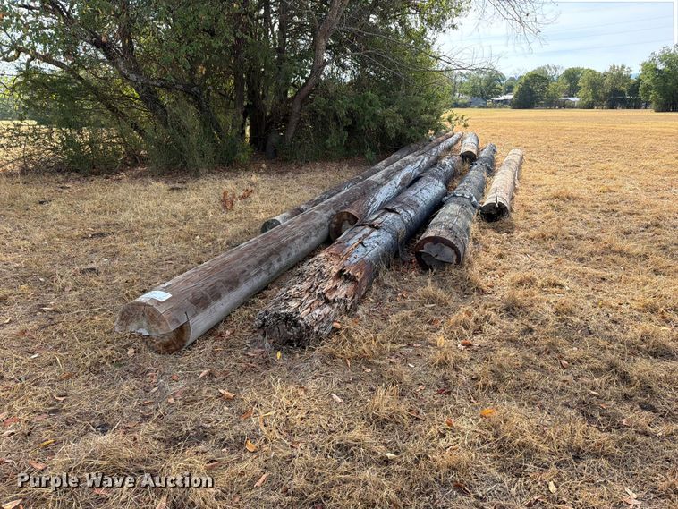 image for item FK5242 Telephone poles