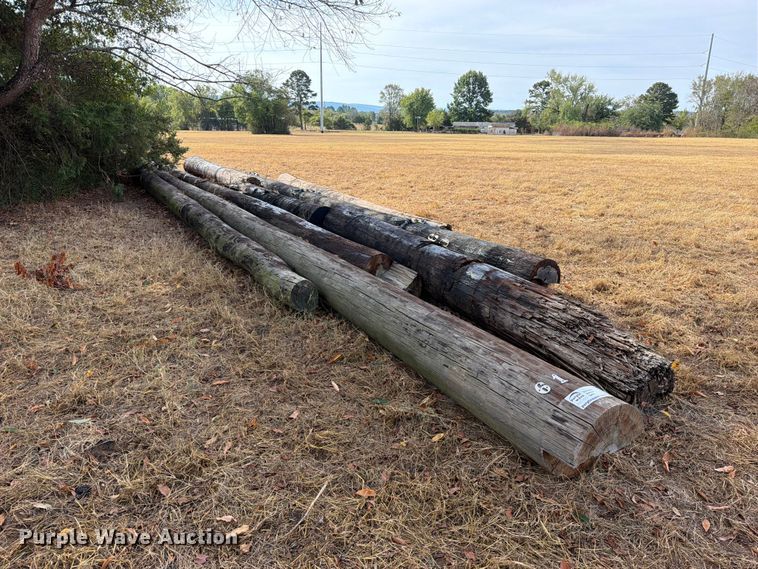 image for item FK5242 Telephone poles
