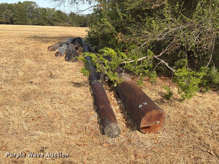 image for item FK5242 Telephone poles