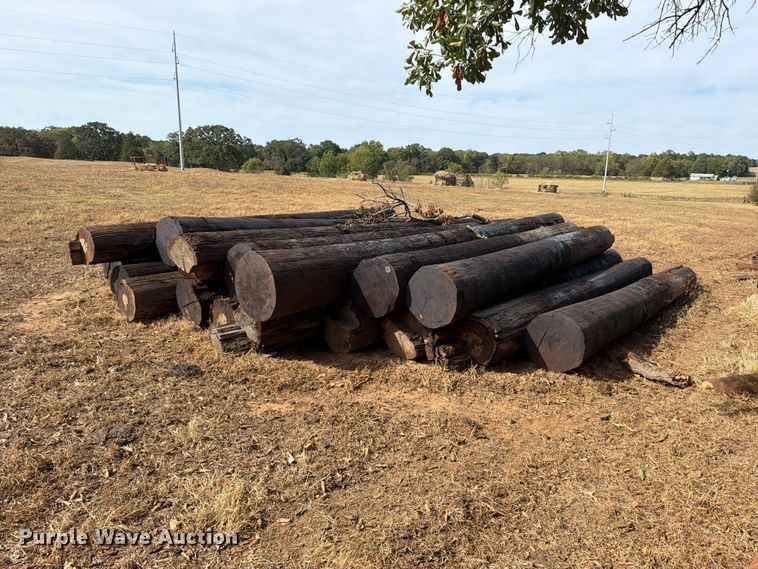 image for item FK5242 Telephone poles