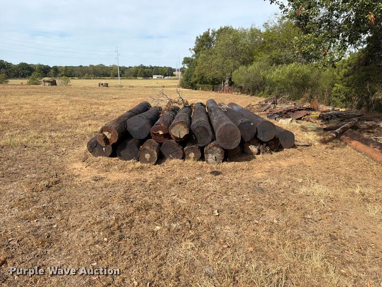 image for item FK5242 Telephone poles