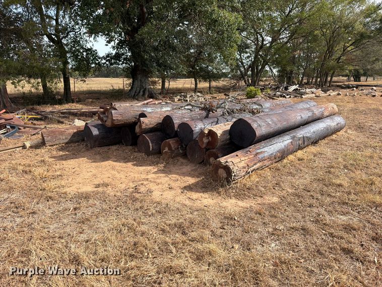 image for item FK5242 Telephone poles