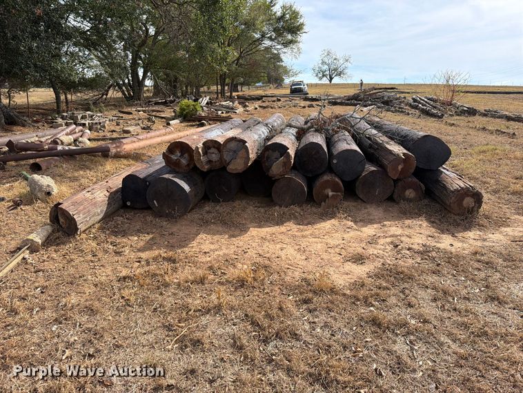 image for item FK5242 Telephone poles