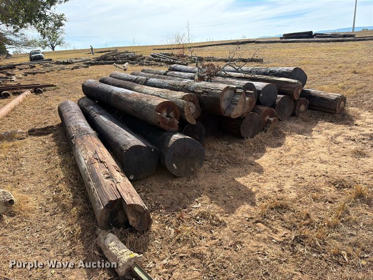 image for item FK5242 Telephone poles