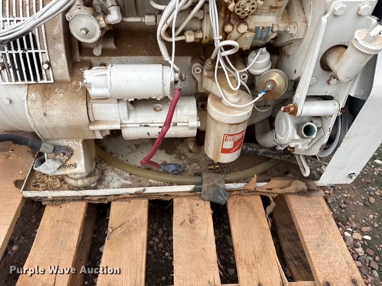 image for item EW4376 (2) Onan generators