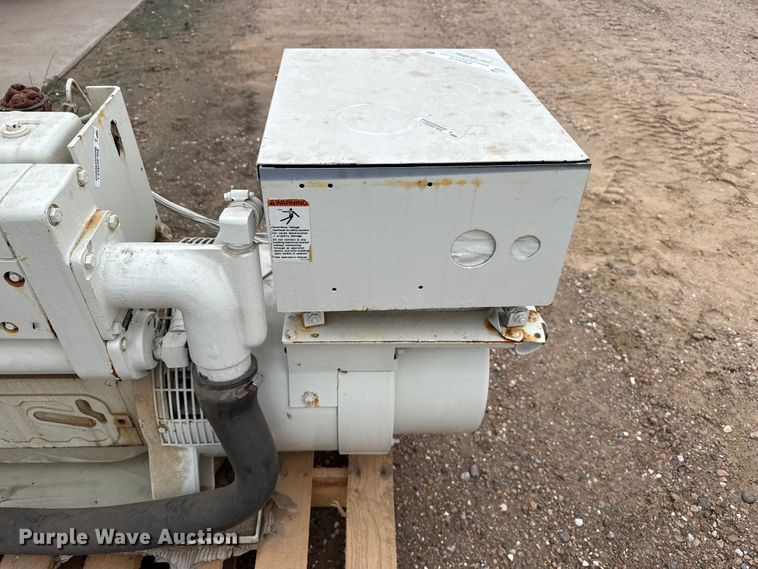 image for item EW4376 (2) Onan generators