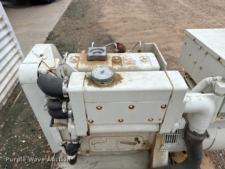 image for item EW4376 (2) Onan generators