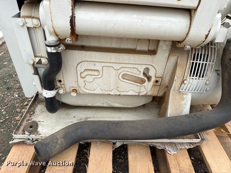 image for item EW4376 (2) Onan generators
