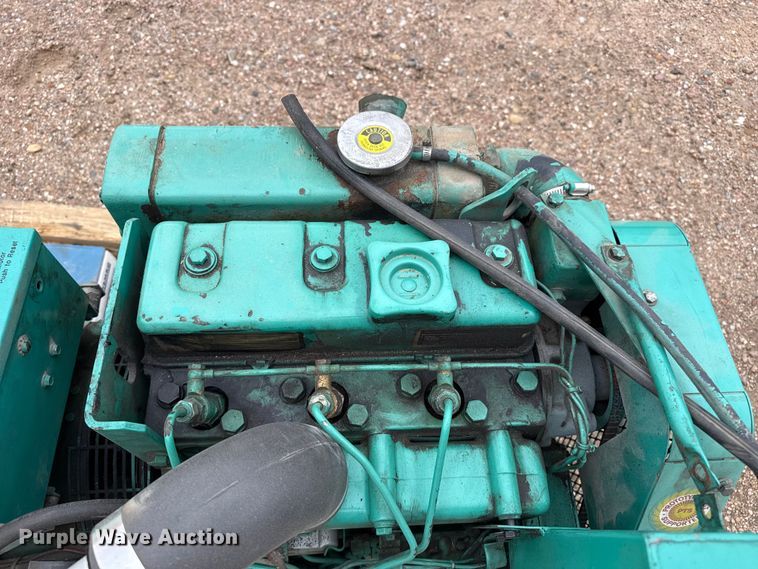 image for item EW4376 (2) Onan generators
