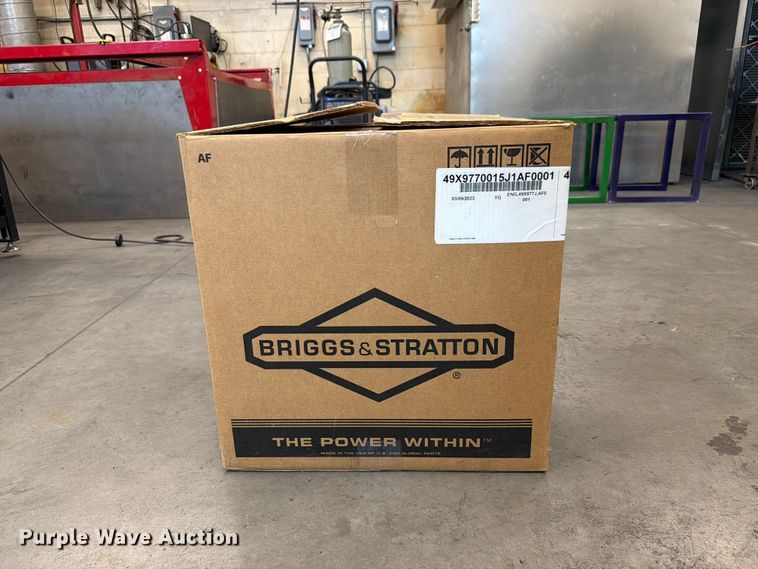image for item 2303095941 Briggs & Stratton 49X9770015J1 Engine