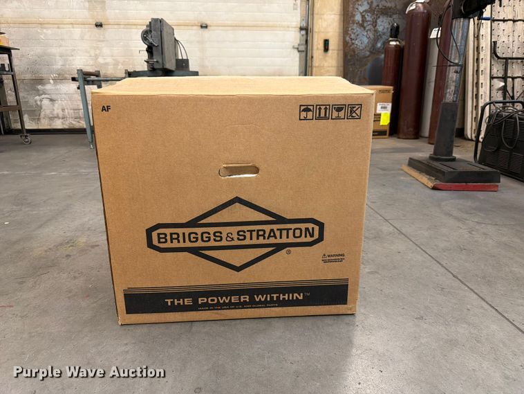 image for item 2303095941 Briggs & Stratton 49X9770015J1 Engine