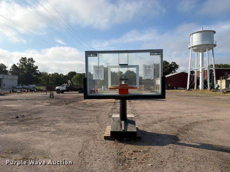 image for item EX4318 Future Pro basketball hoop