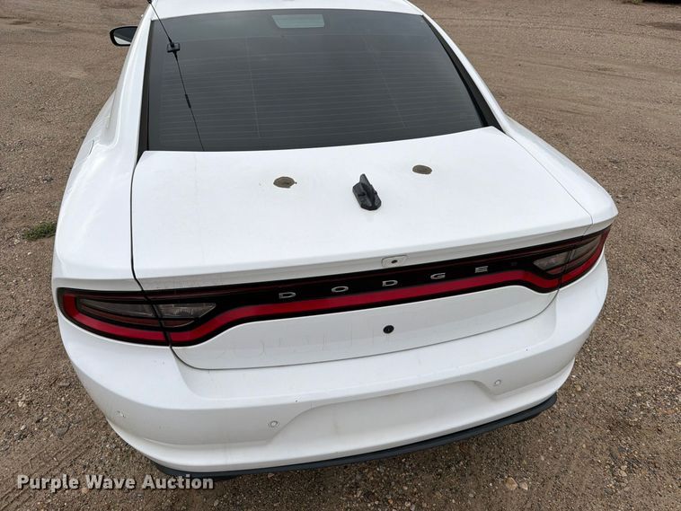 image for item FT6813 2019 Dodge Charger Police 