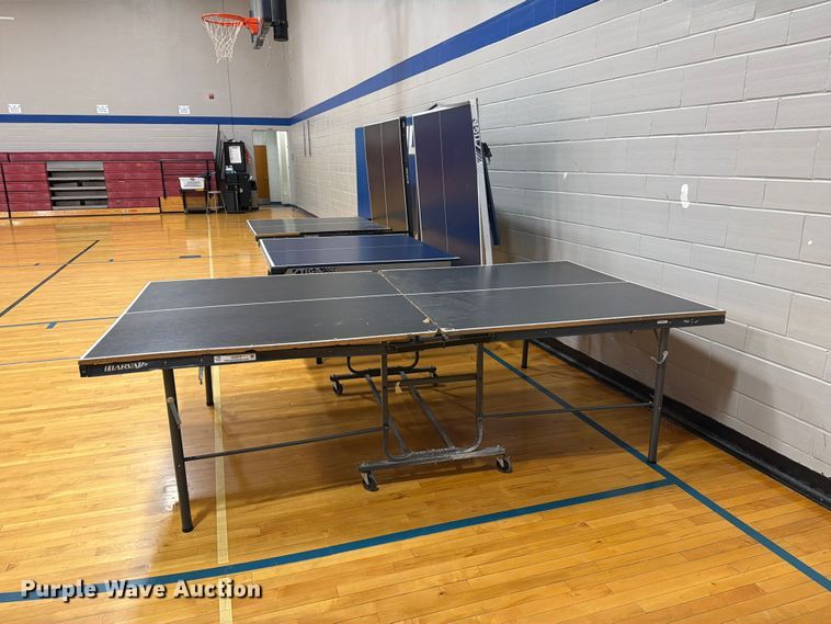image for item DZ4916 (3) ping pong tables