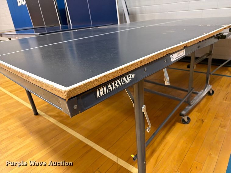 image for item DZ4916 (3) ping pong tables