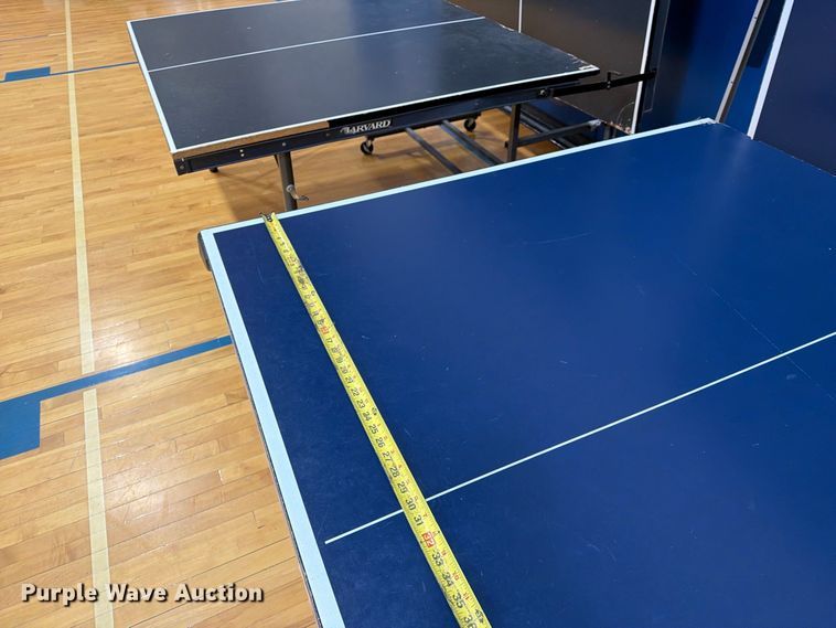 image for item DZ4916 (3) ping pong tables