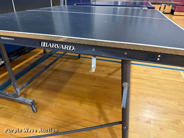 image for item DZ4916 (3) ping pong tables