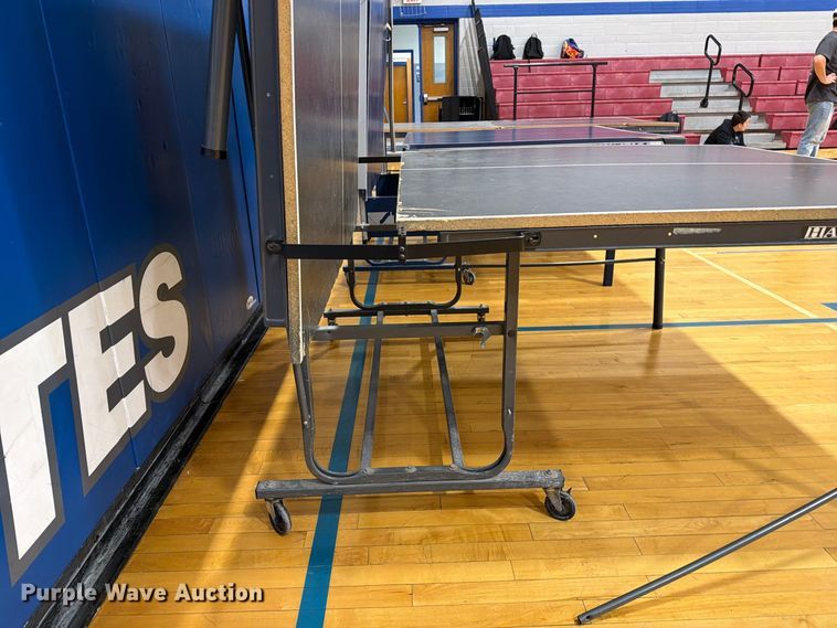 image for item DZ4916 (3) ping pong tables