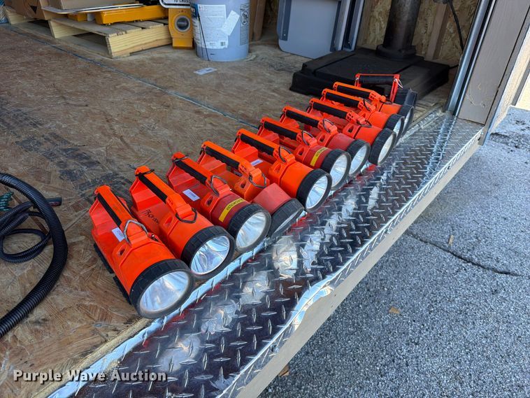 image for item FU1090 (10) Flashlights