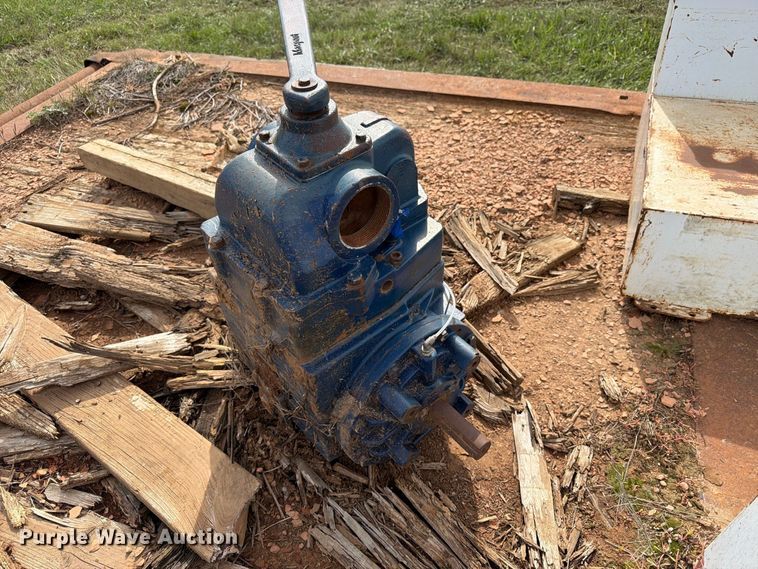 image for item EW1091 Pumps