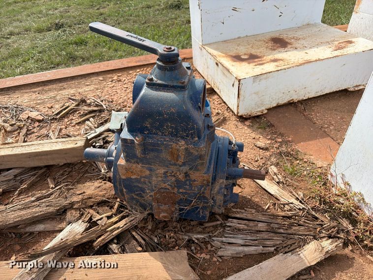 image for item EW1091 Pumps