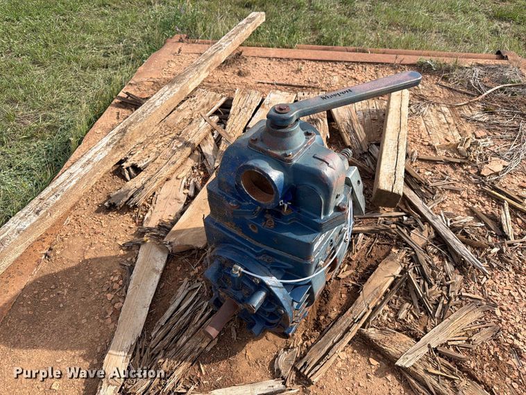 image for item EW1091 Pumps