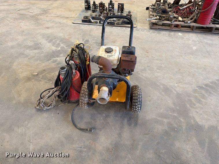 image for item EP7737 (3) pumps