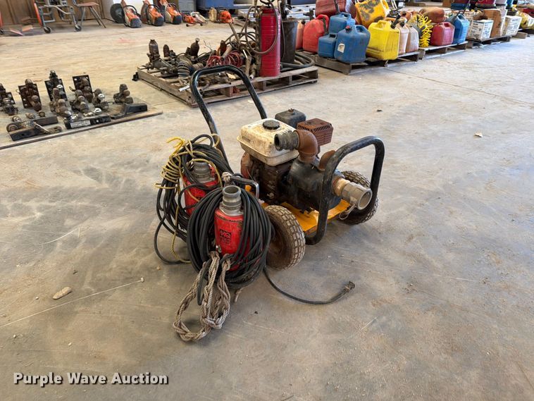 image for item EP7737 (3) pumps