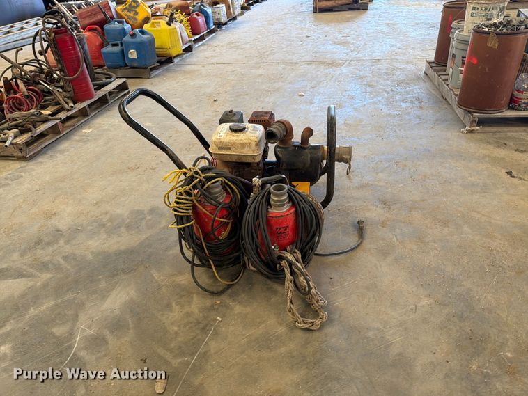 image for item EP7737 (3) pumps
