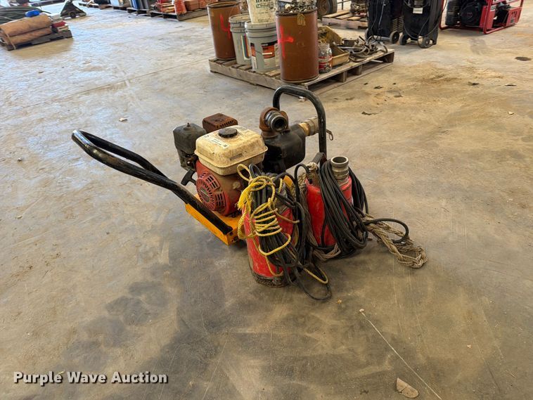 image for item EP7737 (3) pumps