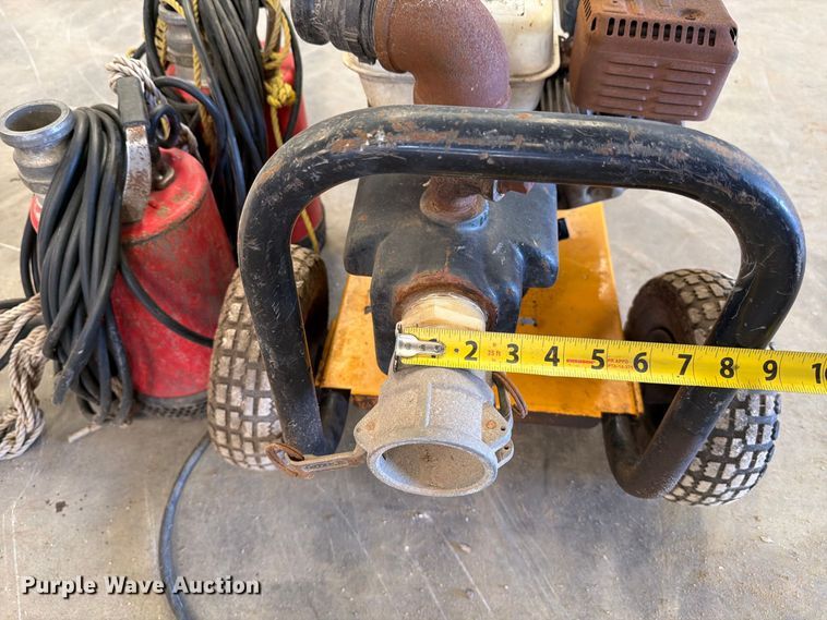 image for item EP7737 (3) pumps