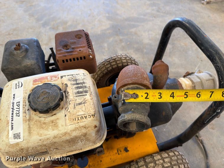 image for item EP7737 (3) pumps