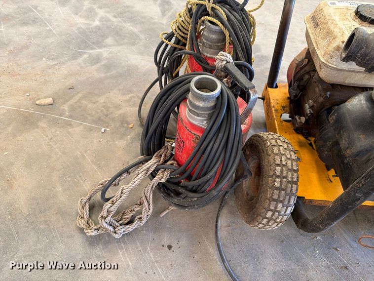 image for item EP7737 (3) pumps