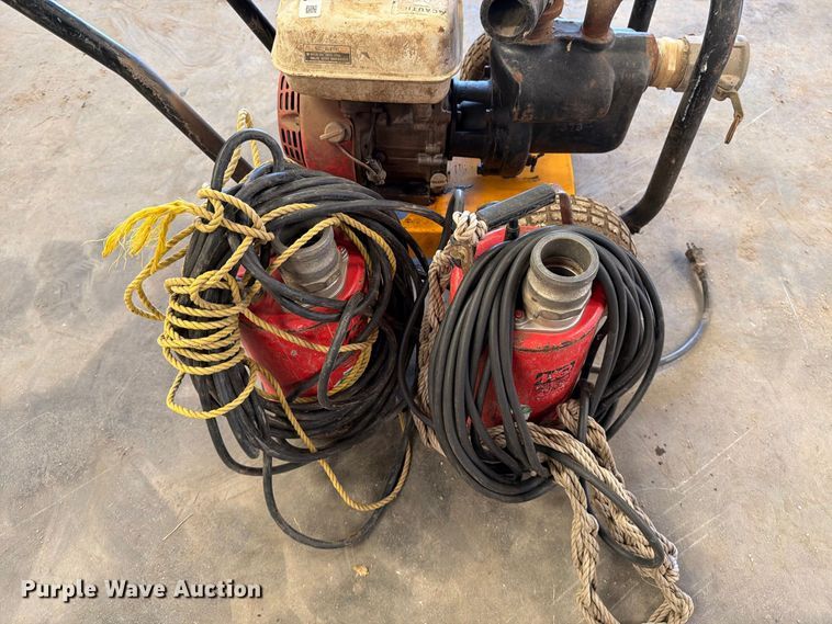 image for item EP7737 (3) pumps