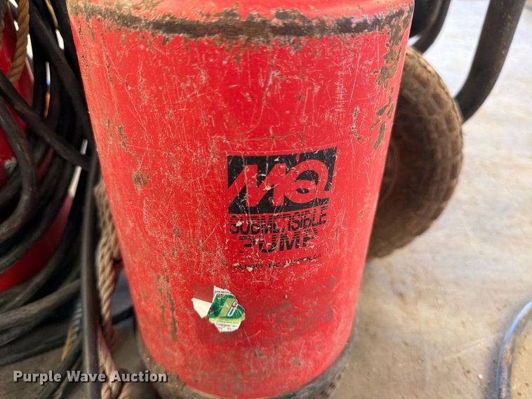 image for item EP7737 (3) pumps