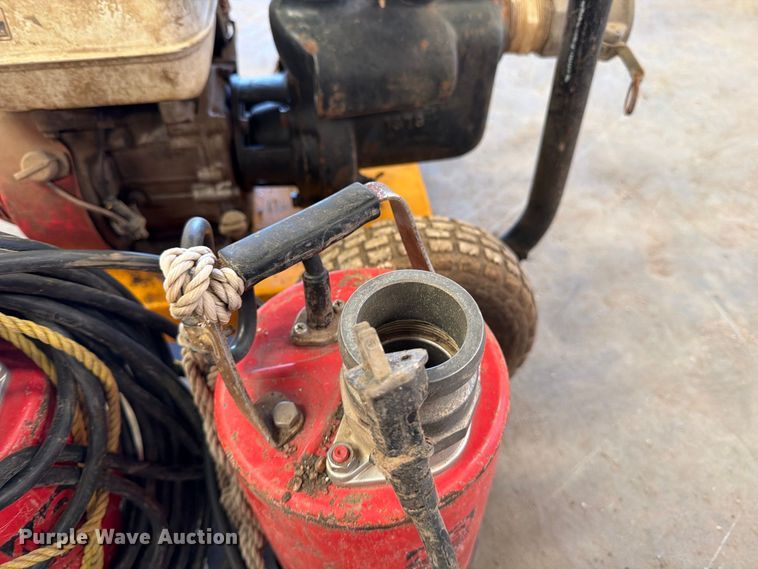 image for item EP7737 (3) pumps