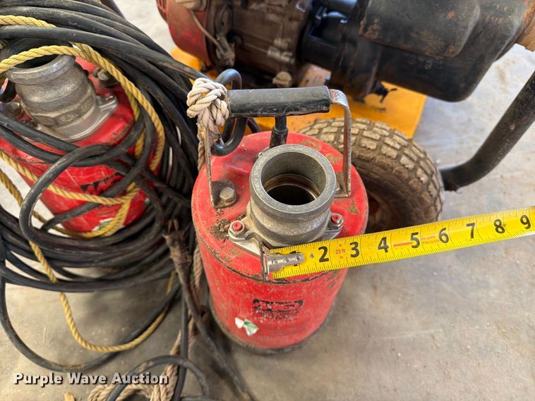 image for item EP7737 (3) pumps