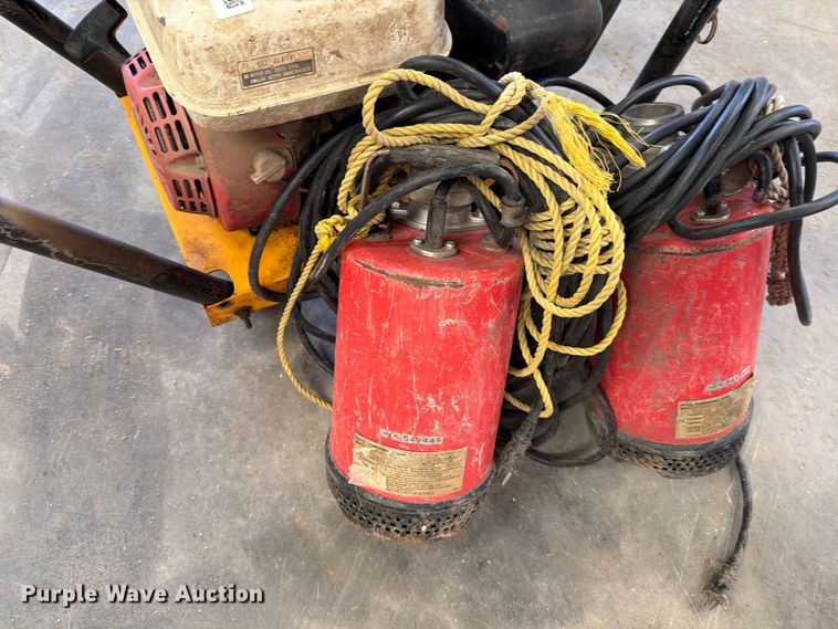 image for item EP7737 (3) pumps