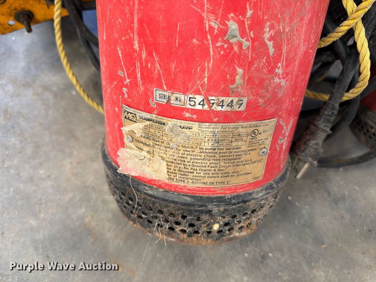 image for item EP7737 (3) pumps