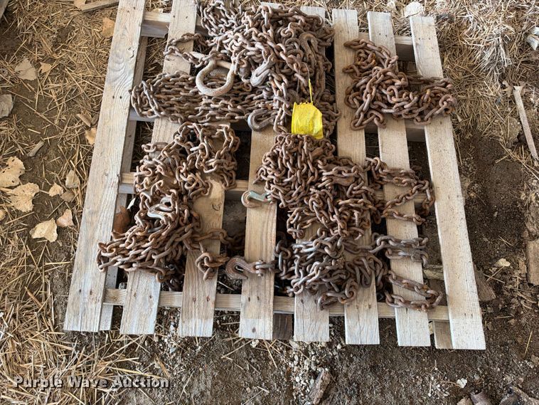 image for item EX2234 Chains and binders