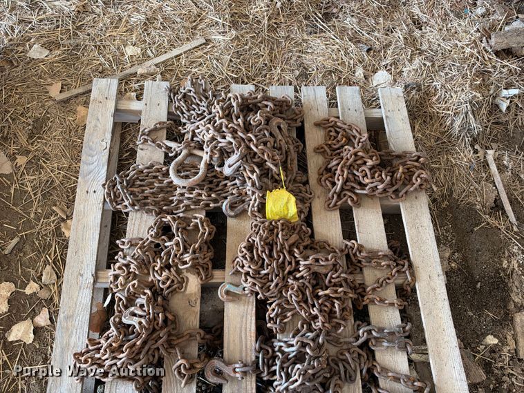 image for item EX2234 Chains and binders