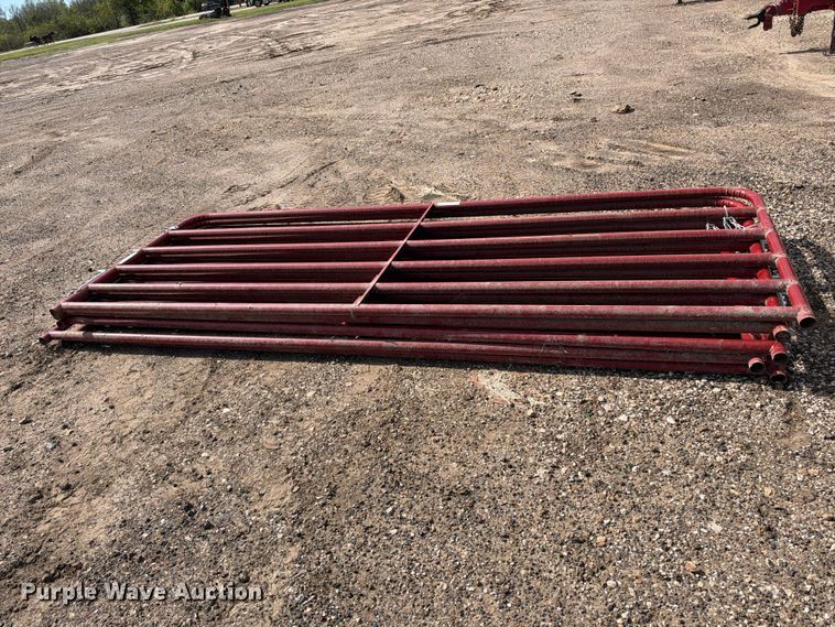 image for item EX1519 (5) 12' livestock gates