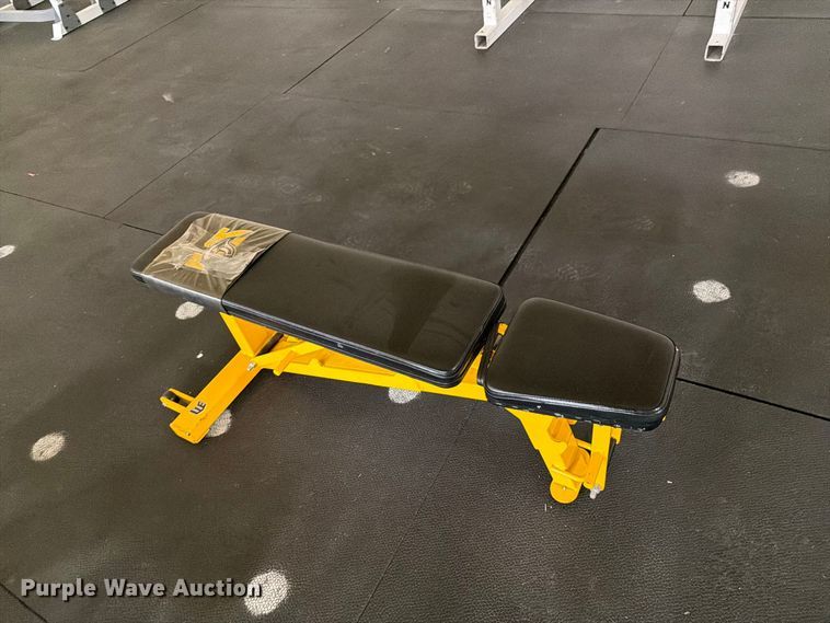 image for item EI7818 Samson weight room equipment