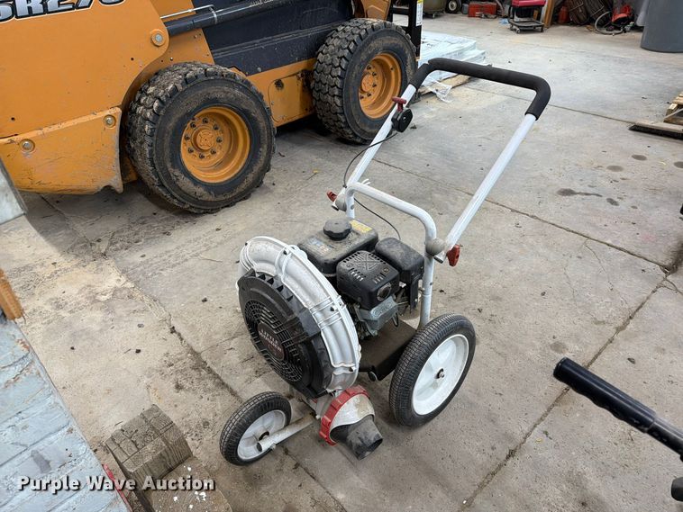 image for item EI7840 (2) leaf blowers
