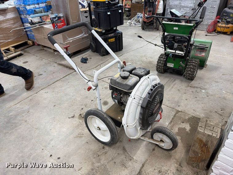 image for item EI7840 (2) leaf blowers