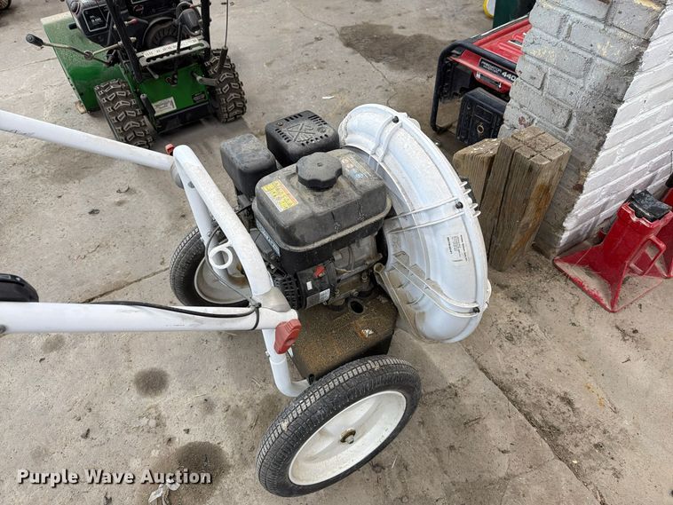 image for item EI7840 (2) leaf blowers