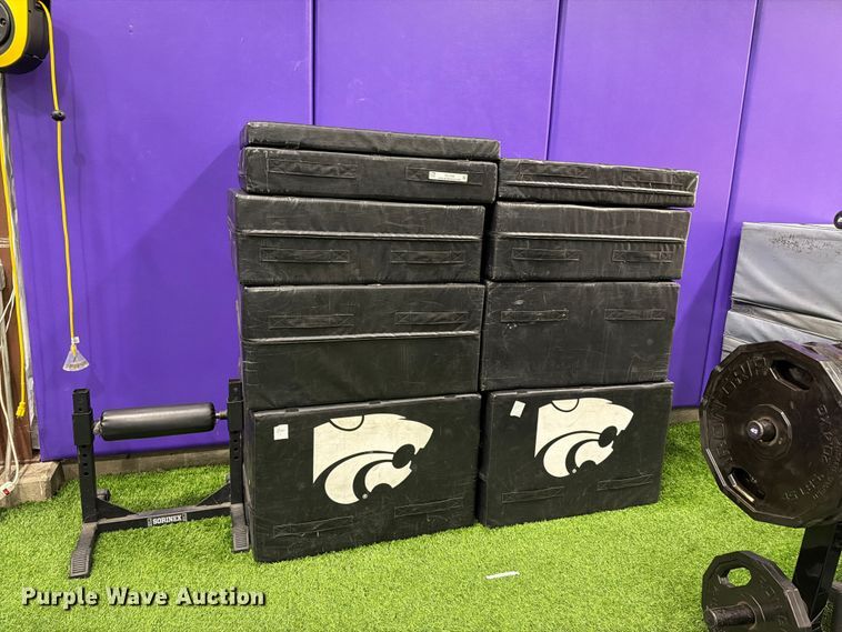 image for item EL1109 (2) sets of Alpha Dog plyo boxes